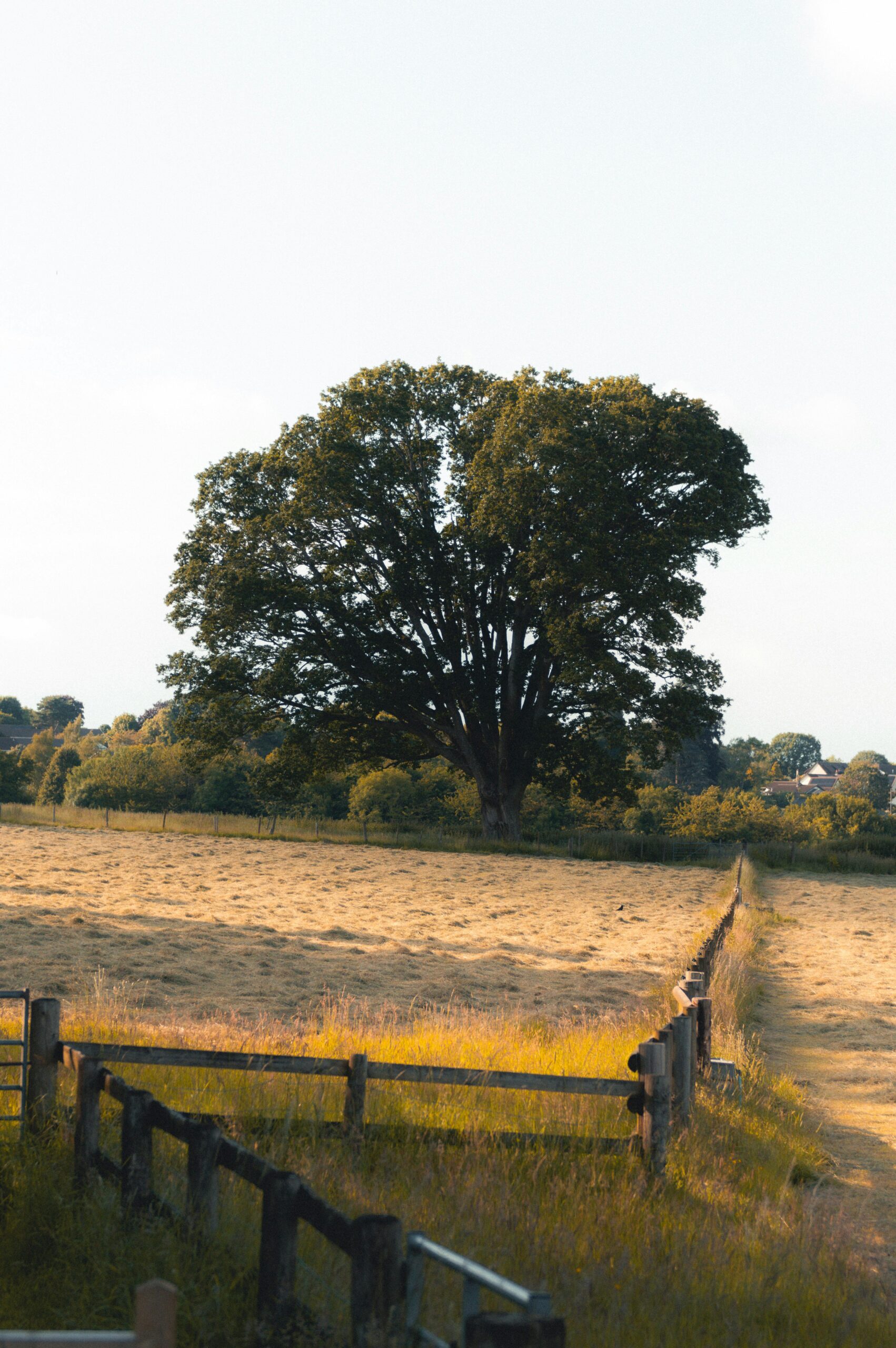 View of a Rural Area